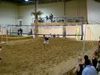 BeachVolley - Nice Dig and Great Block