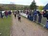 canicross dieppe