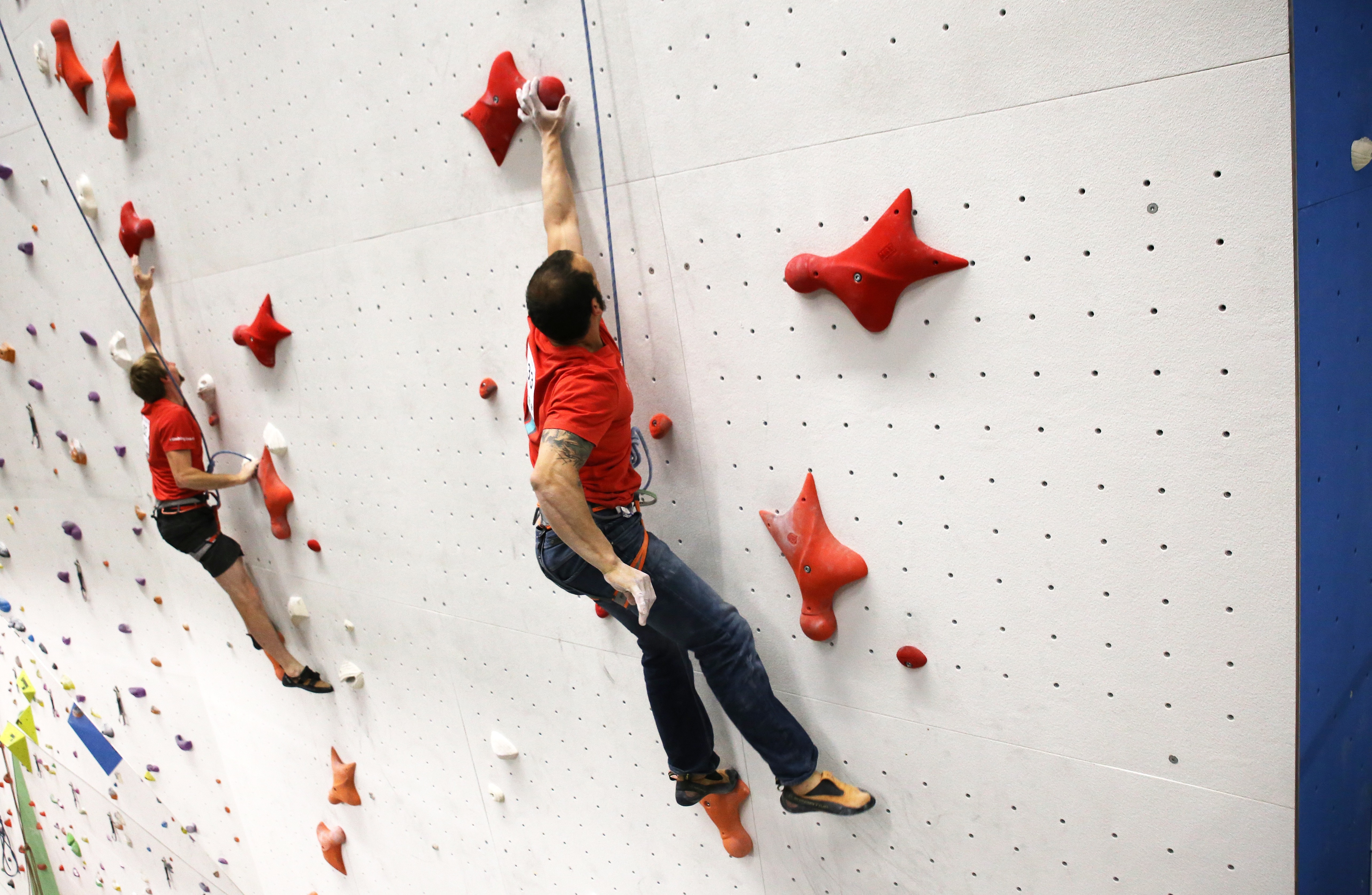 IVY climbing - speed wall