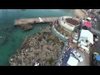 Skydiving in the Grand Cayman with the Red Bull Air Force HD