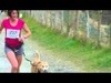 txakurkrosa 2011 canicross errenteria
