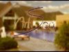 Wellness, Entspannung, Sauna und Massagen im ART SPA Wachtendonk