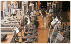www.wezenbergfit/fitness/vieuw1