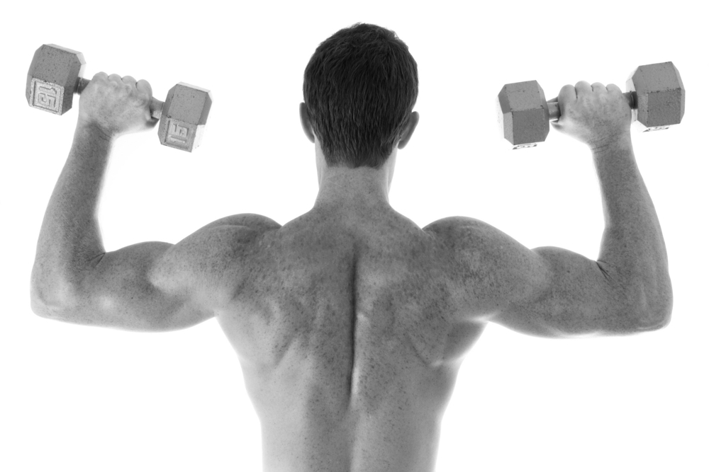 www.wezenbergfit/fitness/shoulderpress