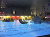 DSCF0689_medium