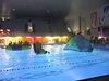 DSCF0690_medium
