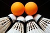 pingpongbadmintonbijgewerkt_copy_medium