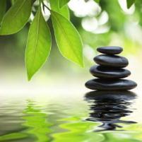 Workshop Tai Chi