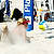 Beachvolley