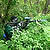 Paintball