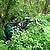 Paintball_medium