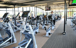 Click to show full size image