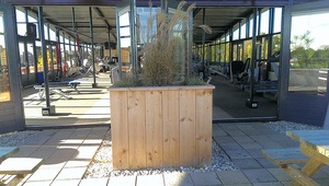 Click to show full size image